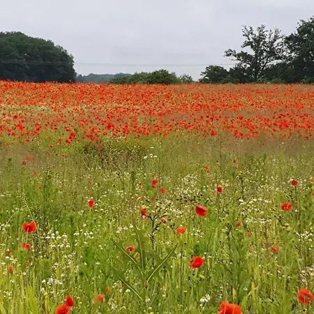 Haus Hinz Fe-wo An Der Ostsee * Kalkhorst