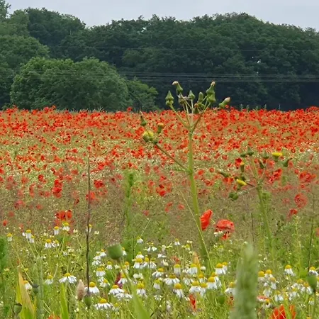 Haus Hinz Fe-wo An Der Ostsee Kalkhorst