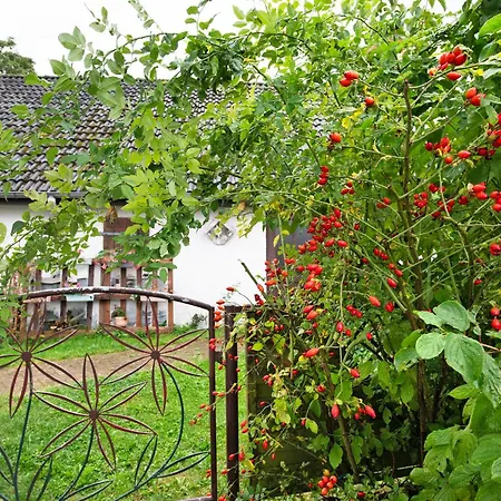 Daire Haus Hinz Fe-wo An Der Ostsee *