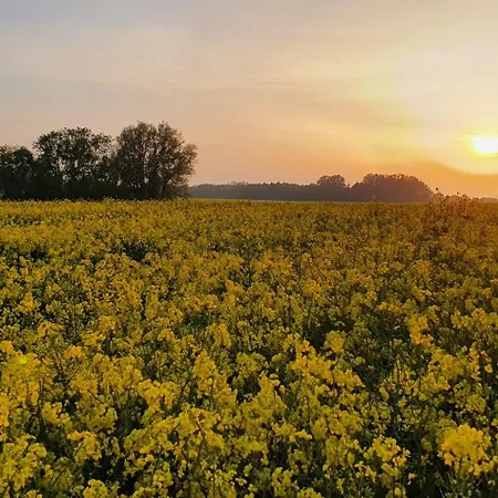 شقة Haus Hinz Fe-wo An Der Ostsee