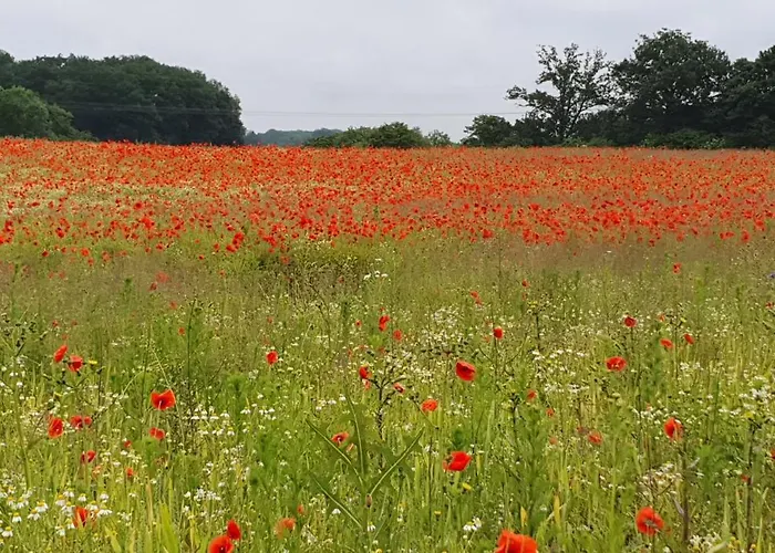 Haus Hinz Fe-wo An Der Ostsee * Kalkhorst