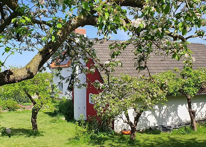 Haus Hinz Fe-wo An Der Ostsee Kalkhorst