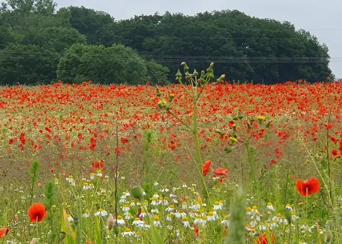 Haus Hinz Fe-wo An Der Ostsee Kalkhorst
