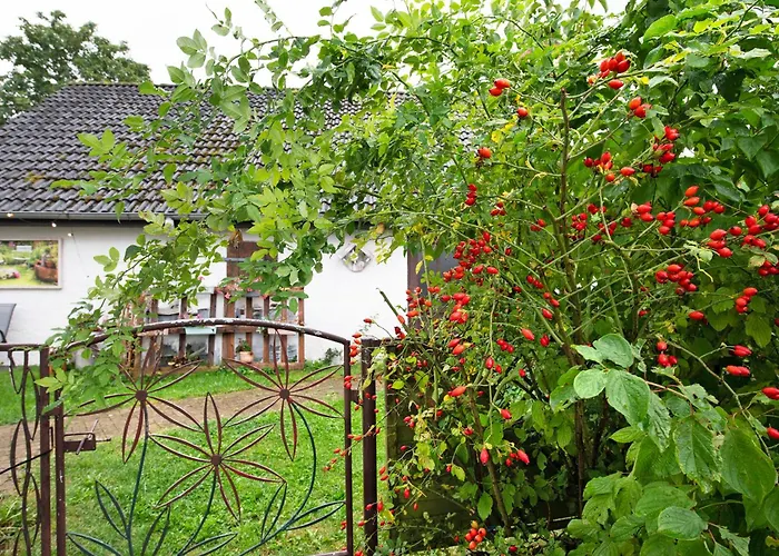 Апартаменты Haus Hinz Fe-wo An Der Ostsee *